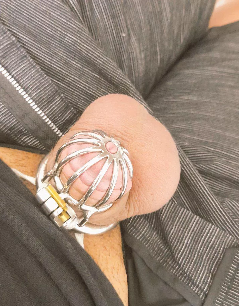 Went to a party last night with my cage on, no one noticed, but it was a thrill the entire time.