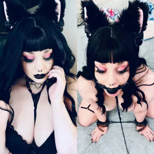 What do you call a slut that sucks married guys dicks [f]