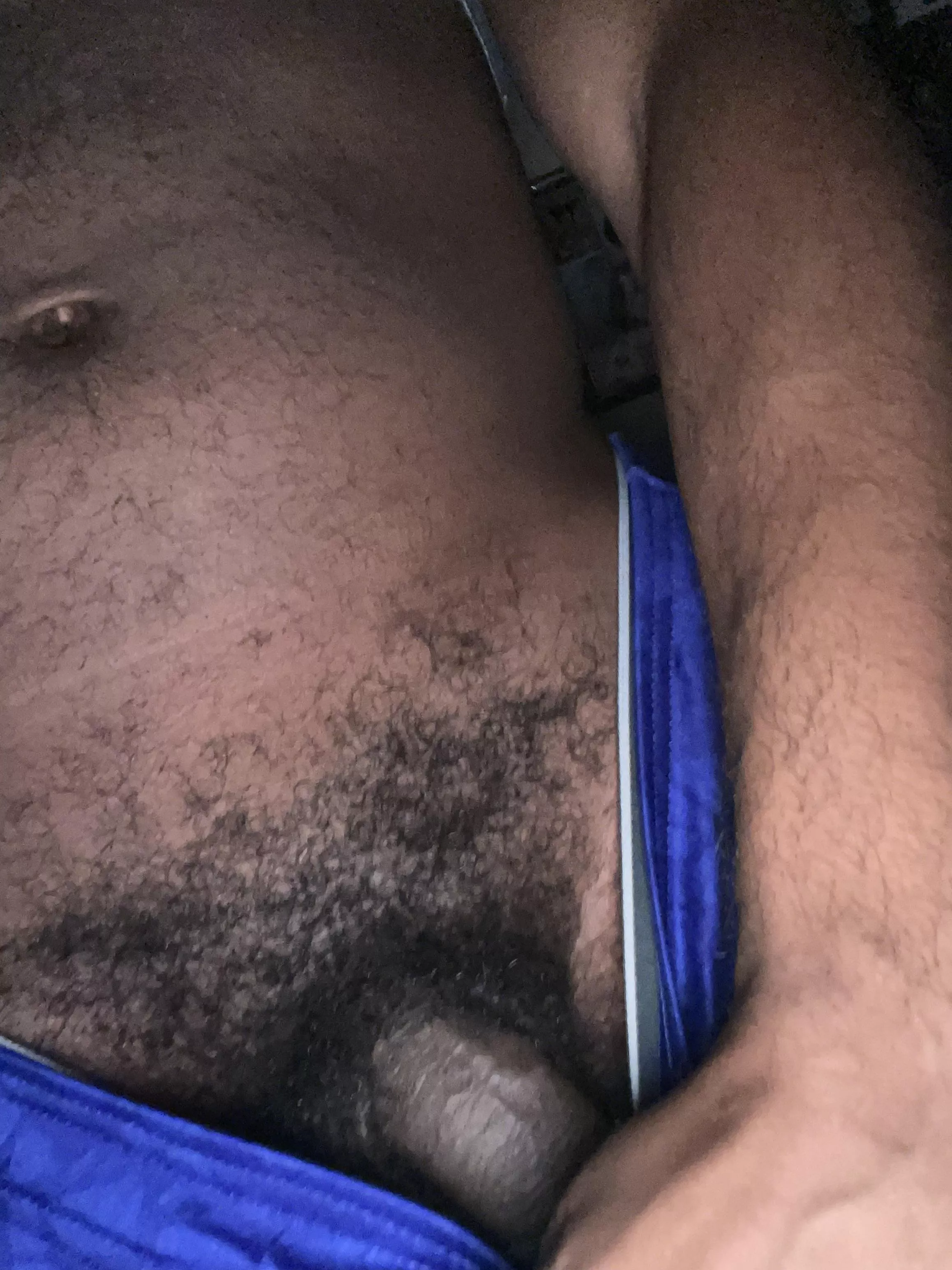 What do you think about my bush?