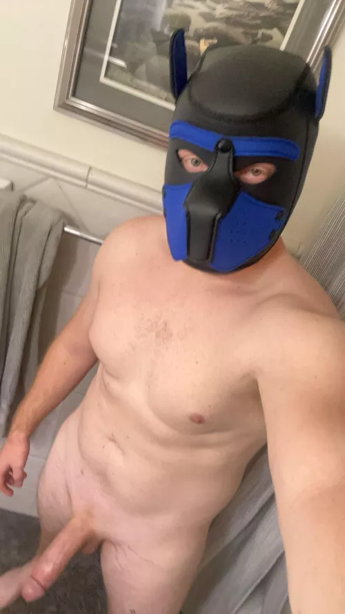 Who wants this bone ;) - pup_2024