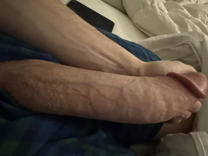 Would you mind if I shoved my dick in your mouth?