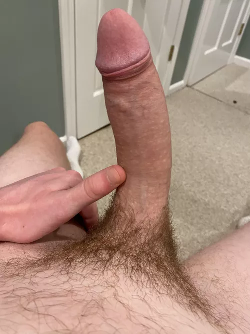 Would you suck your friend’s big hairy cock?