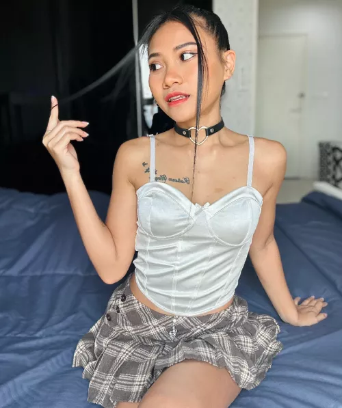 Your pet is ready for walk