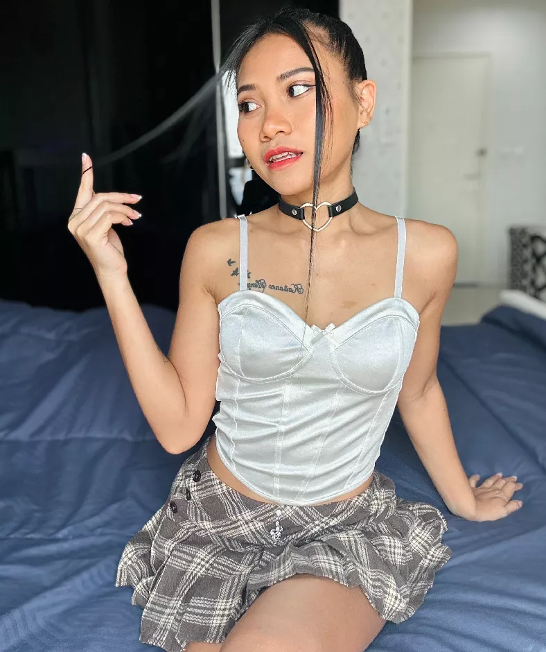 Your pet is ready for walk