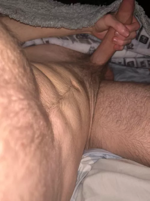 18 fit hung vers sc: oboj0000