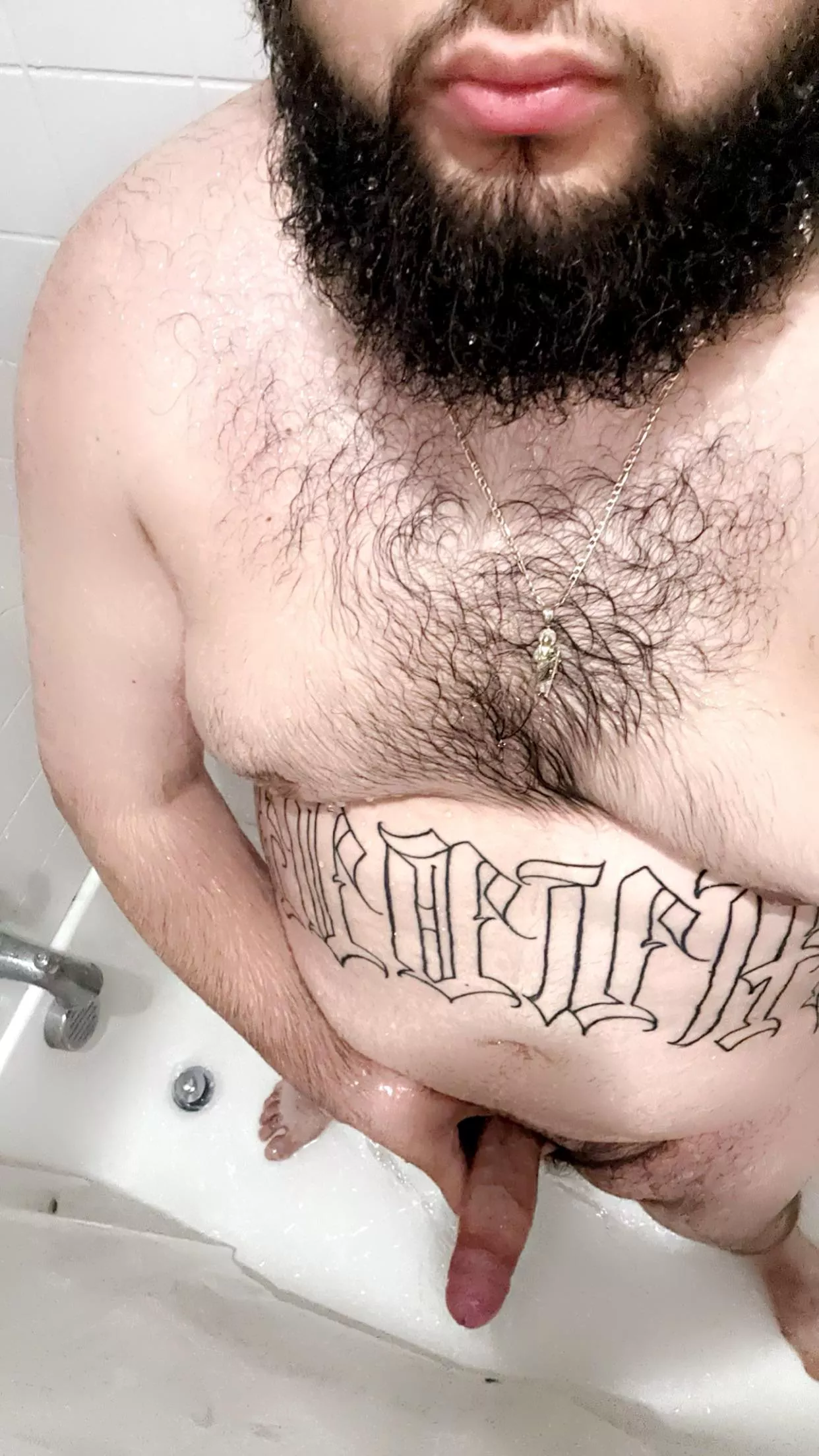 20m bearded chub looking for sexy bottom chubs 