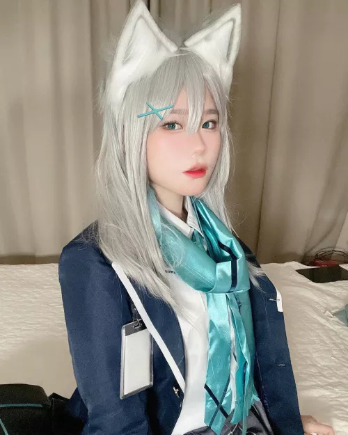 A cute kitten over here