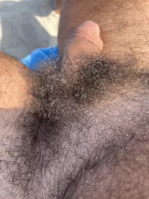 At Haulover nude beach today