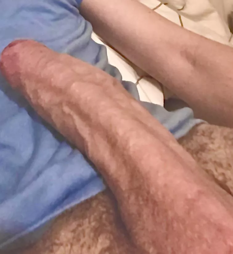 Can we cuddle… 🥺