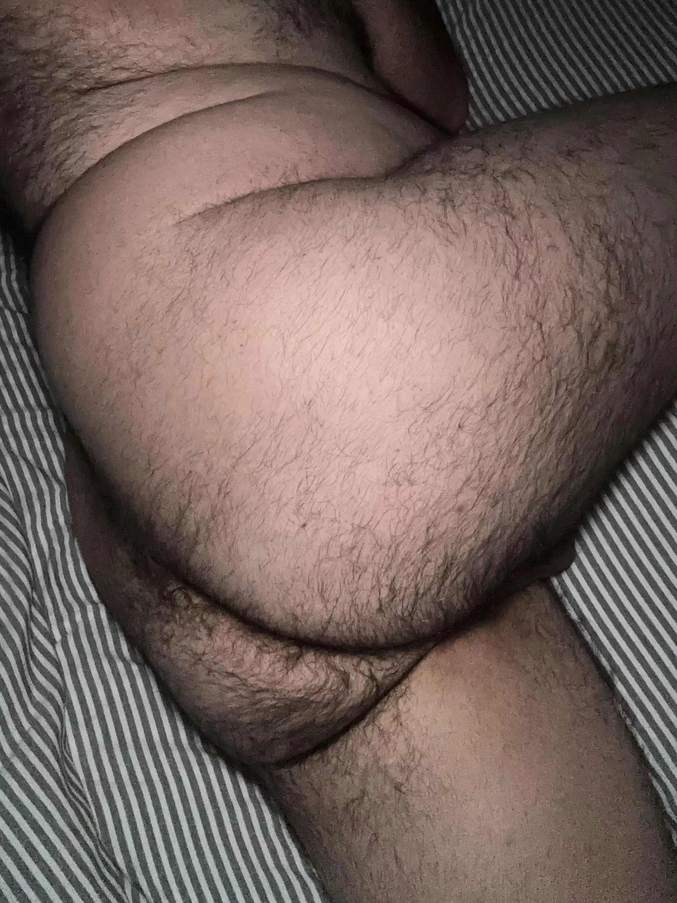 Fuck this fat hairy ass!!!