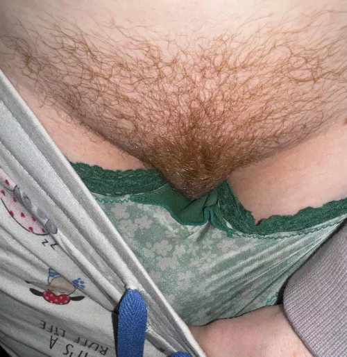 [h]airy pussy before bed 