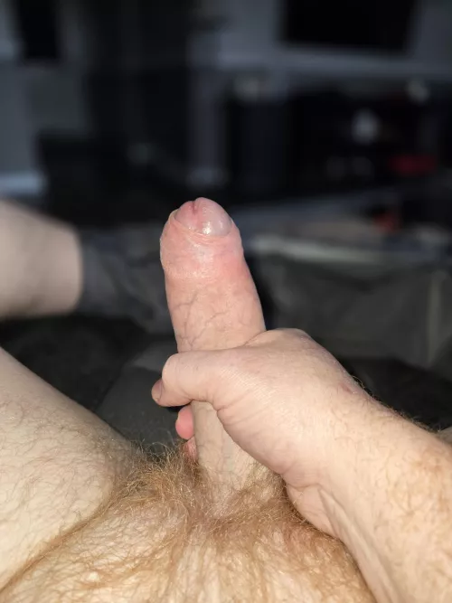 Horny 