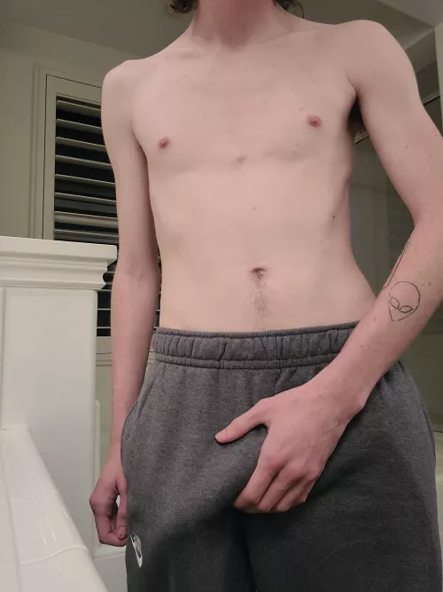 How big would you guess it is??