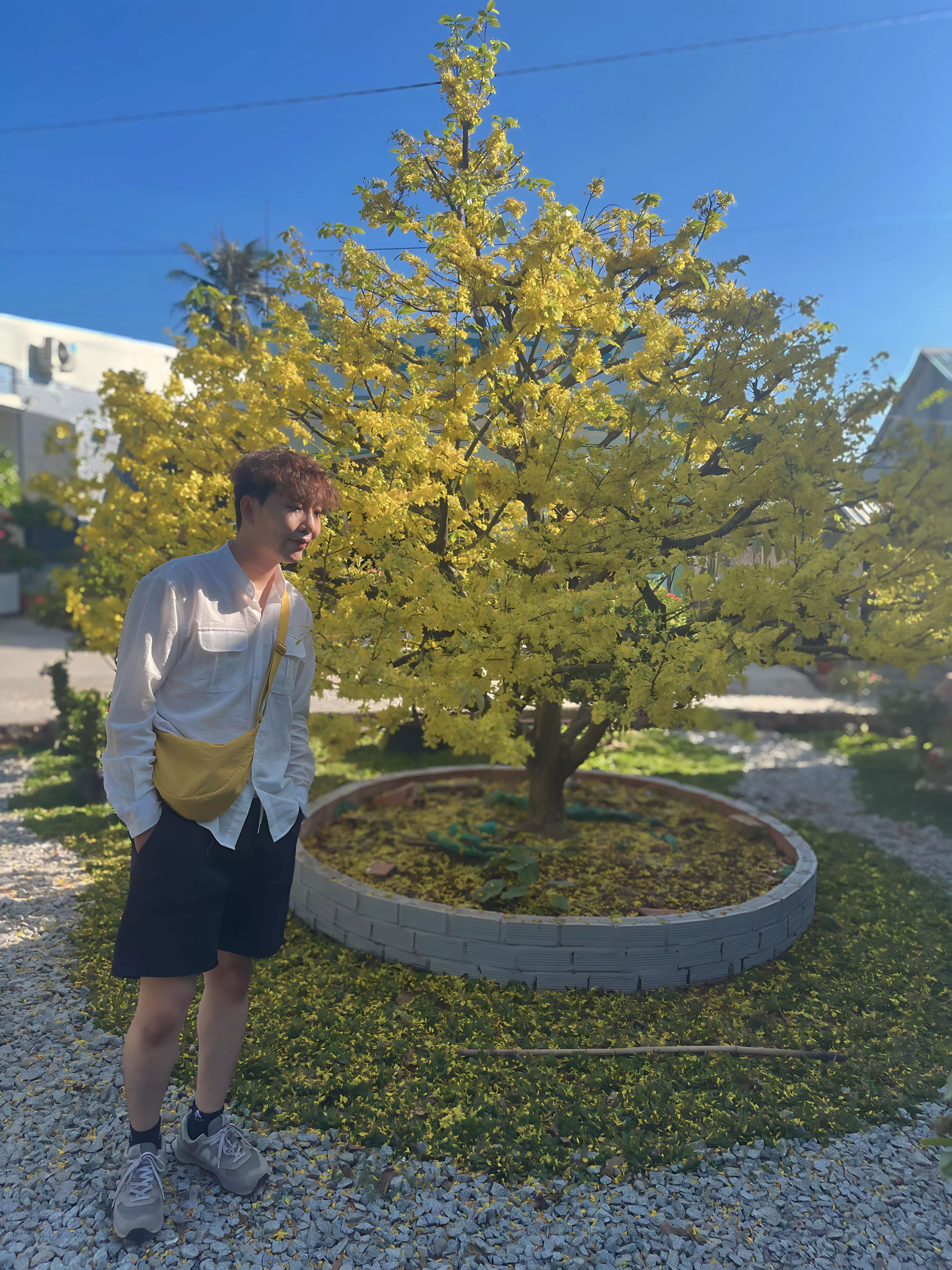 How long does it take for Lunar New Year to approach again? Miss the holiday. 