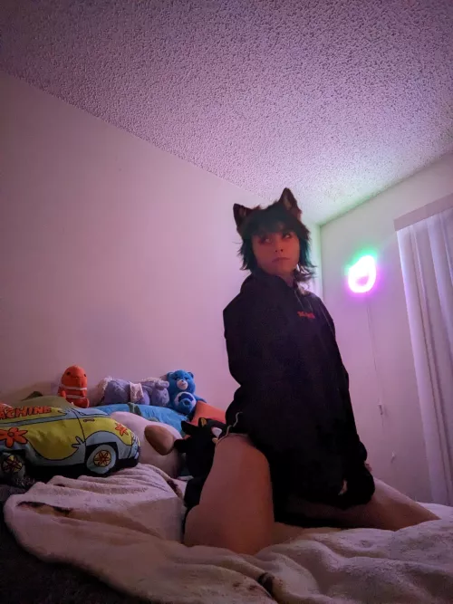 I gotta be a fox more I miss it