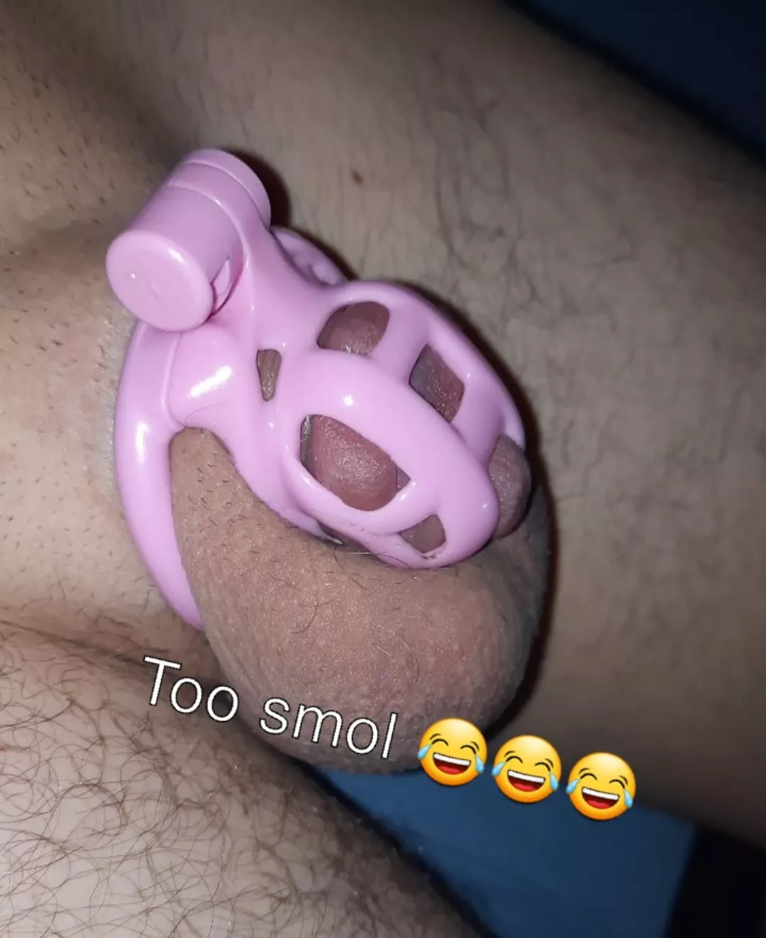 Is getting a vice mini for permanent lockup worth it or should I just glue this cage shut? My longest lockup is the one right now which is 70 days