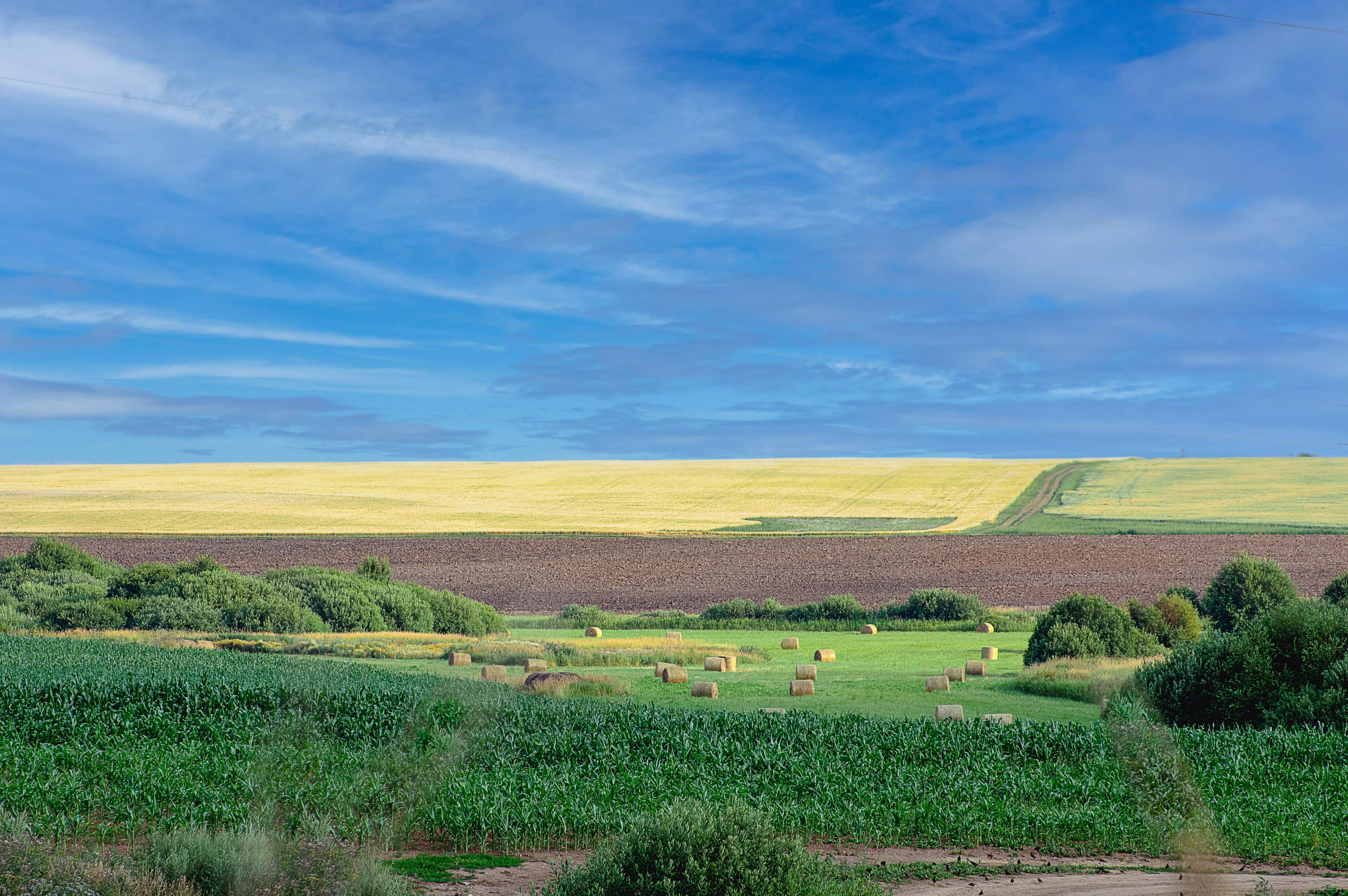 ITAP Field in Russia