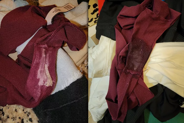 Left my Human Chair his lunch and they were clean when I returned home. Could have been your Lunch