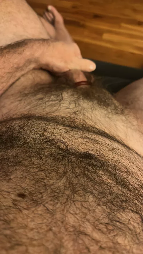 My dad likes my bush. What you guys think.