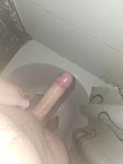 My first post here, what do you guys think