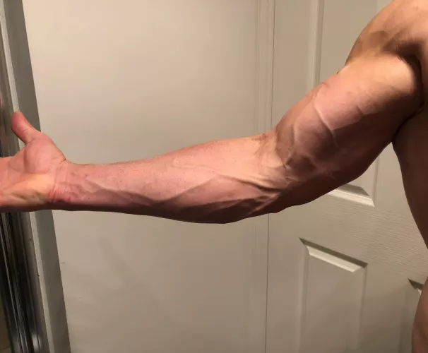Nothing better than that pump you get on arm day😎
