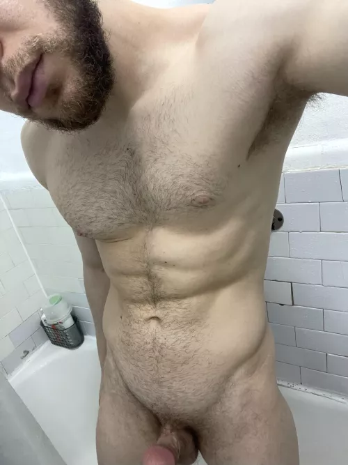 Starting to grow back in after a trim