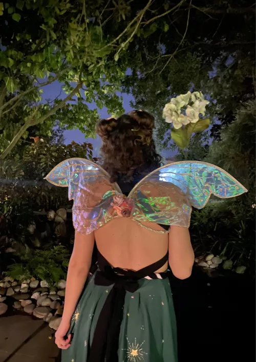 that one time i got to be a fairy princess for halloween 🧚‍♀️