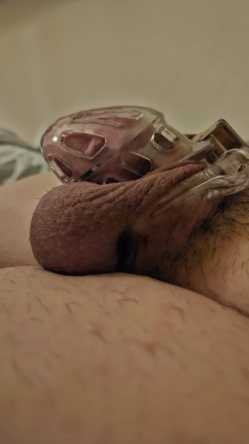 Today is my birthday but im locked!