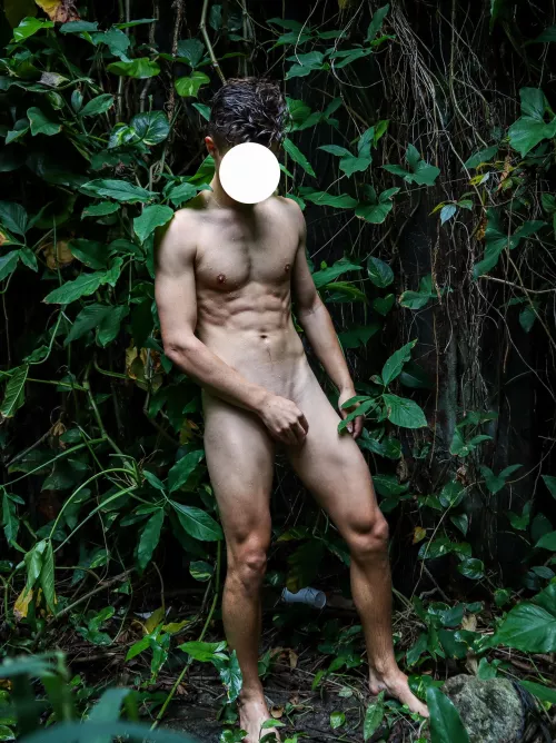 Welcome to the jungle