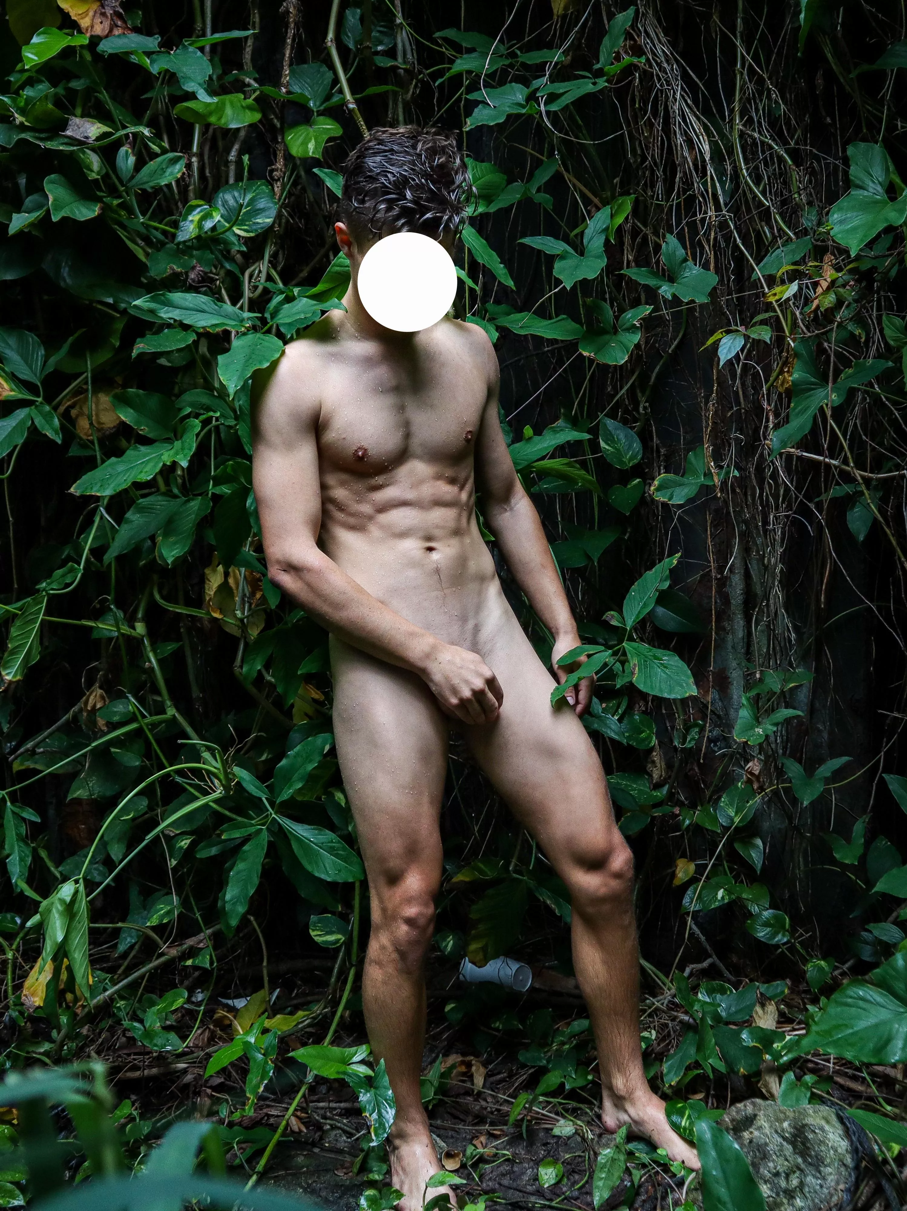 Welcome to the jungle