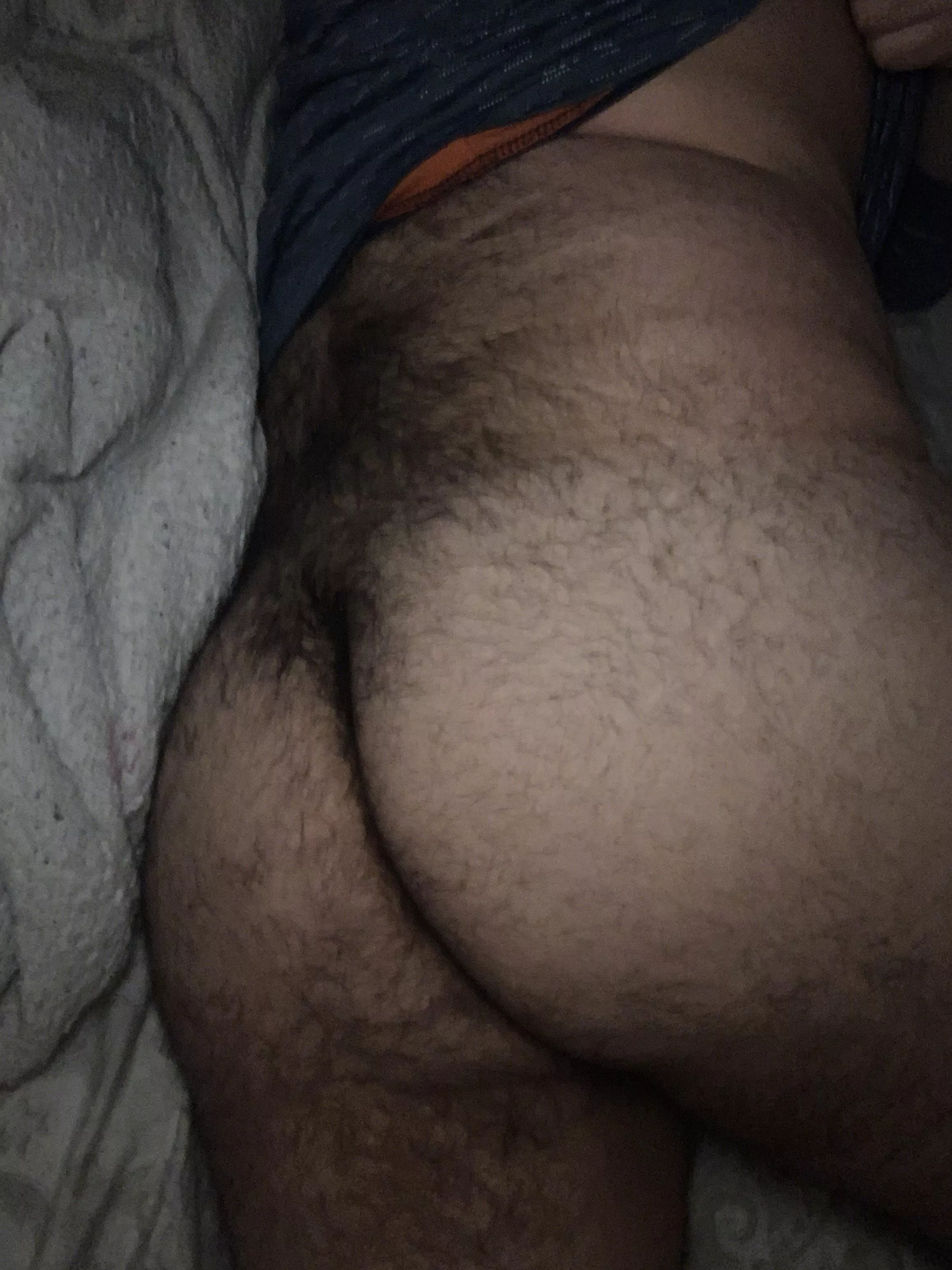 Would you fuck my hairy ass?