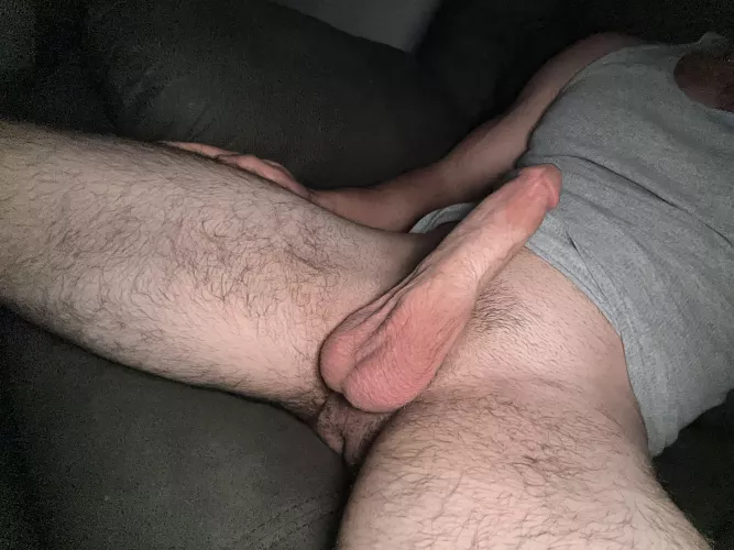 Would you sit or suck on my cut cock ?