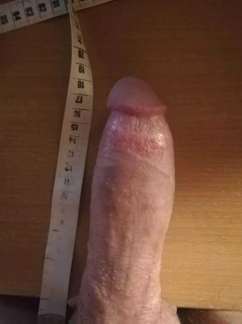 25m Europe Slovenia experienced bull ,dm for more