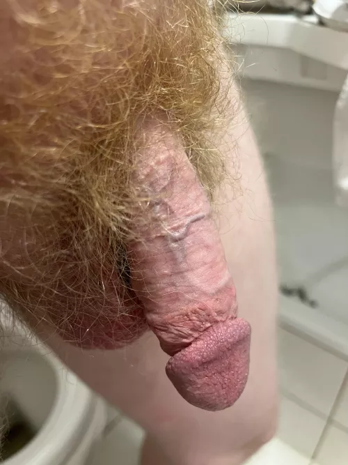 37 years old cut ginger