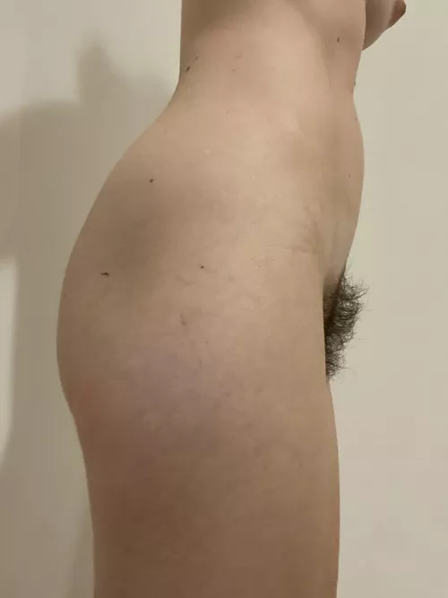 A bush from the side