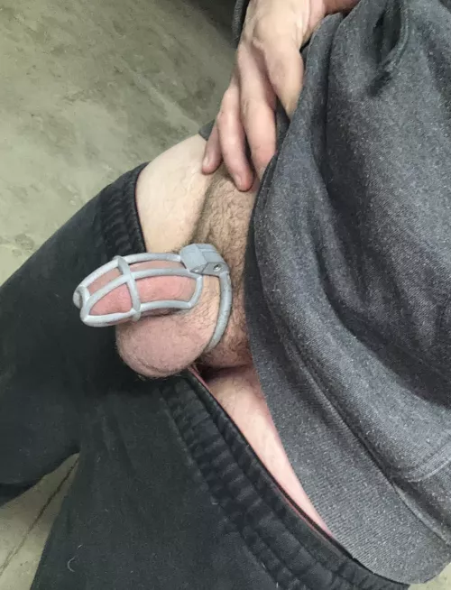 Can i please be released? I have been a good boy!😜