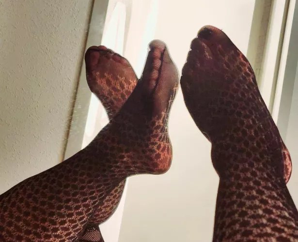 Count the spots 😏 OC