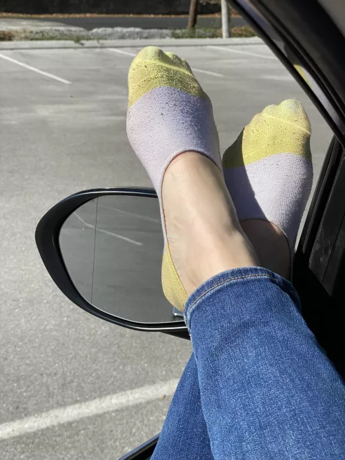 Covering them up just a little bit today