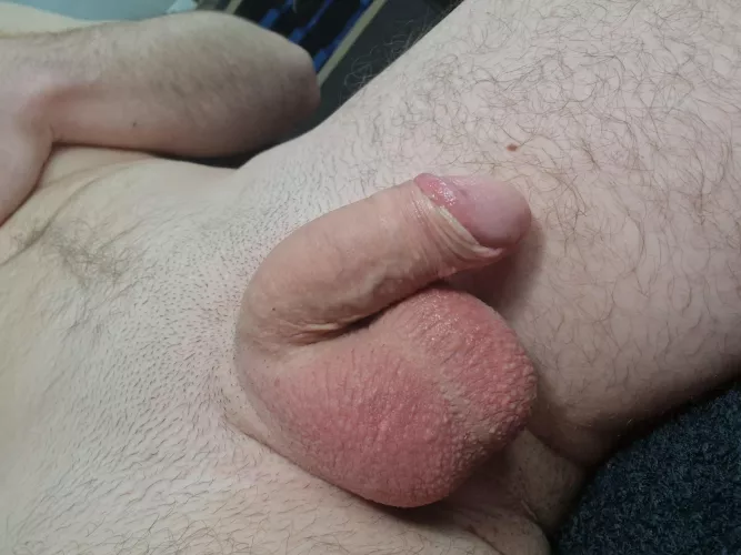 exhausted dick after 2h of stroking 