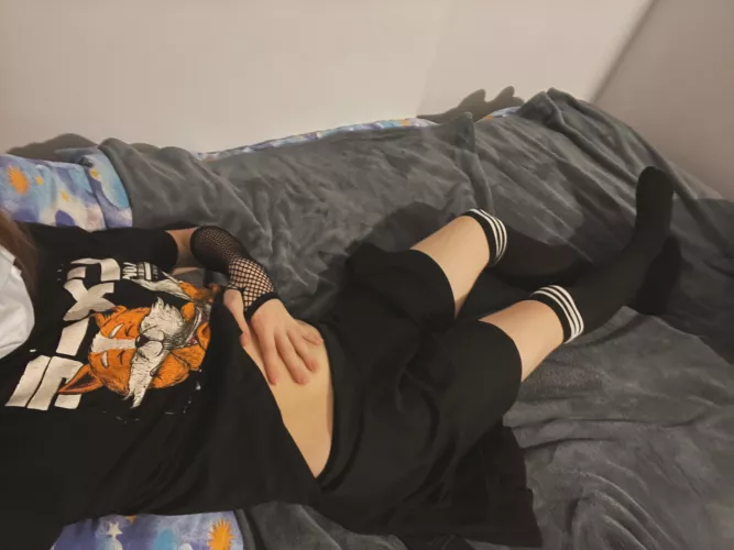 Fox on the shirt, cat on the bed