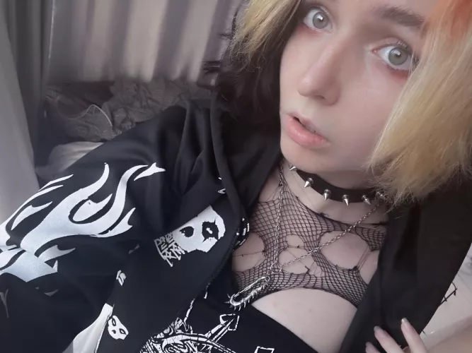 greetings from punky tomboy