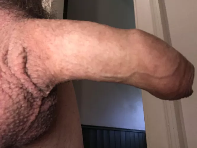Help daddy's week start with some real delight? (64)