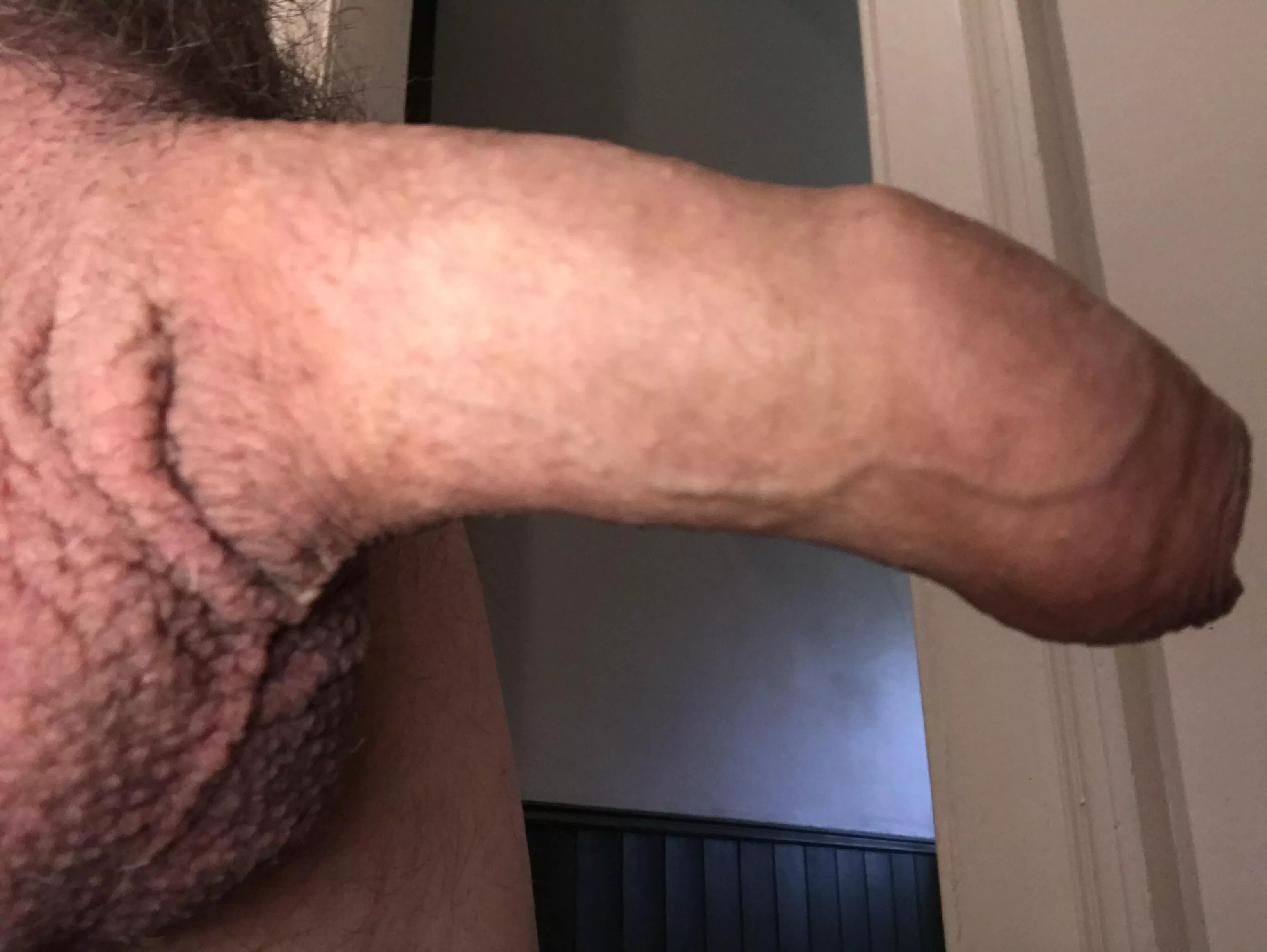 Help daddy's week start with some real delight? (64)