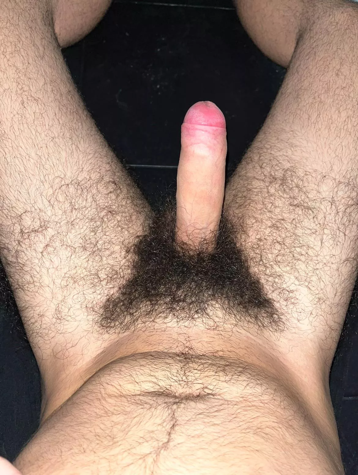If you jack off to my pubes DM me