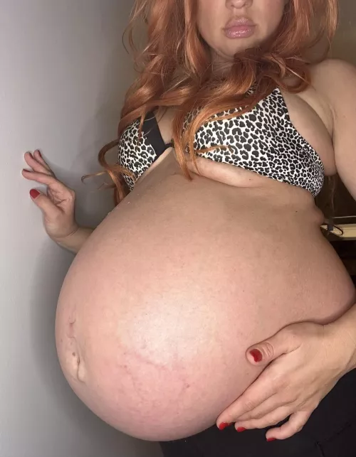 I'm Ready When You Are