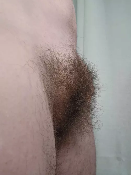 Is there such a thing as too much bush? 