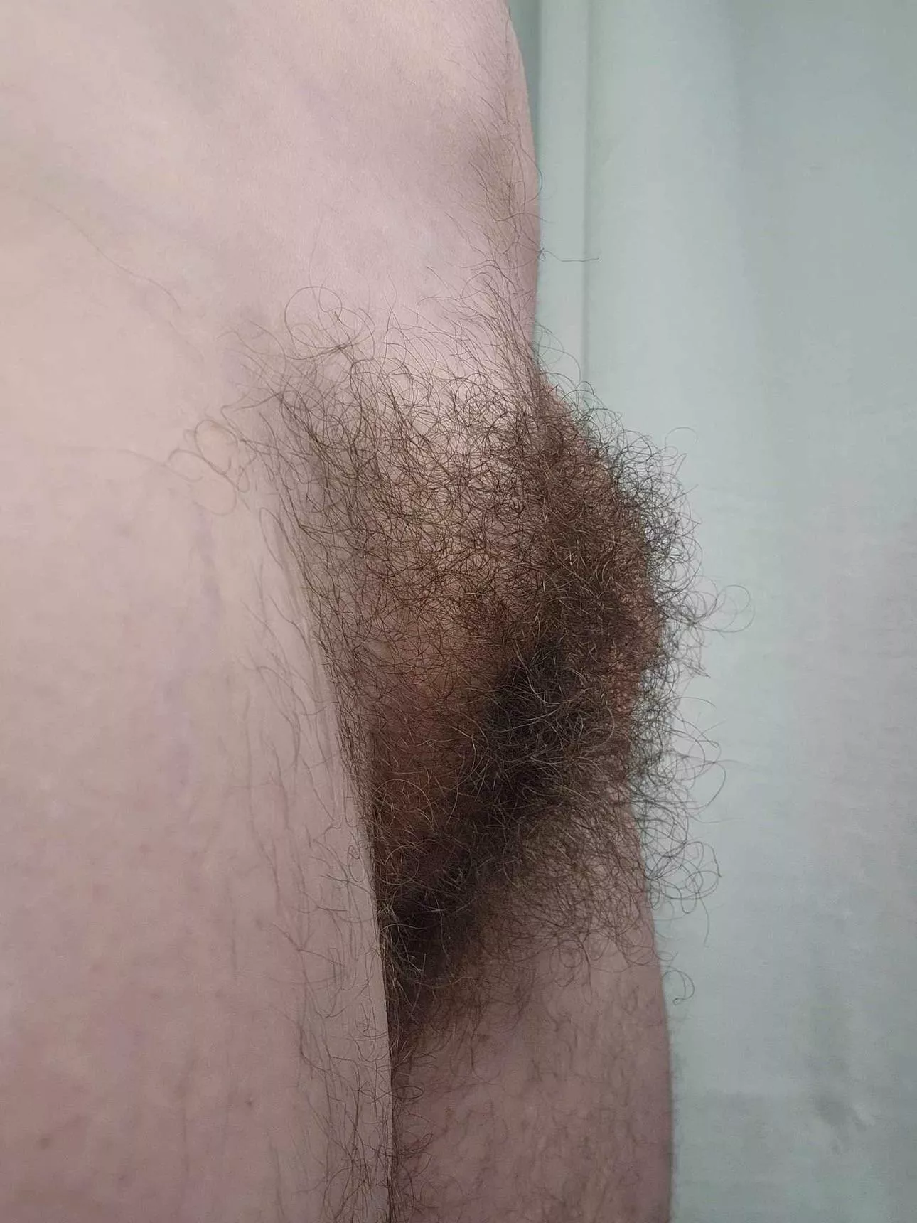 Is there such a thing as too much bush? 