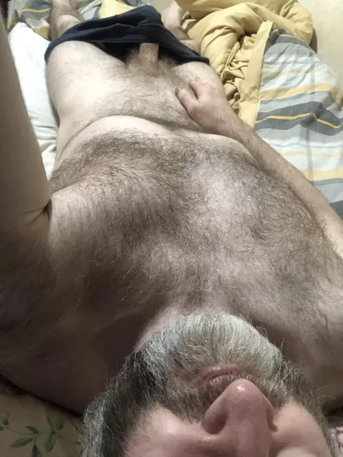 Just an older English silver fox to ride.