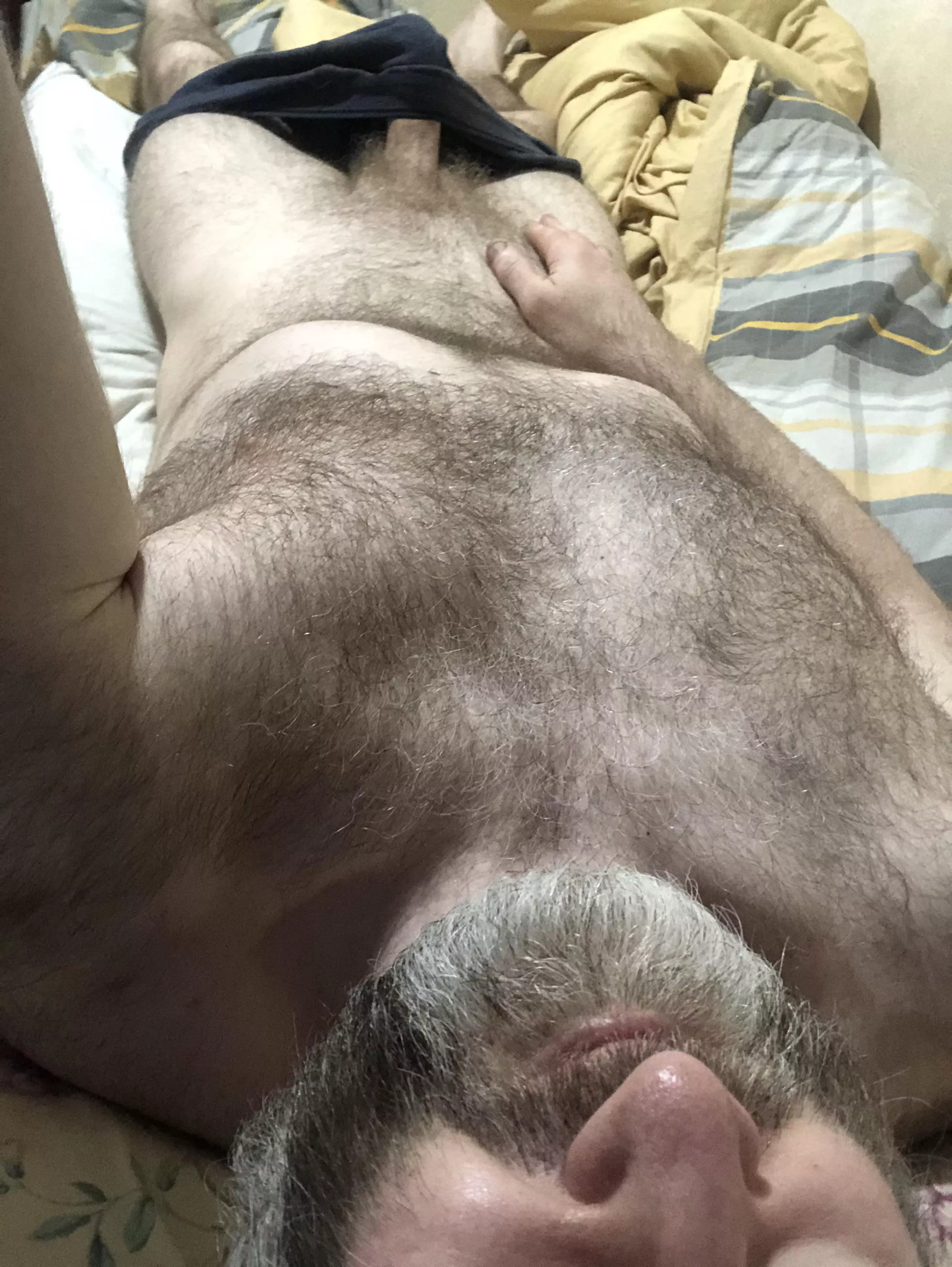 Just an older English silver fox to ride. 