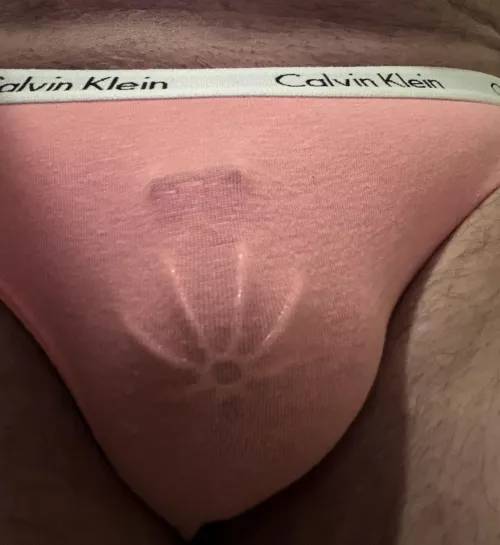 My wife bought me some new panties for work, what do you think?